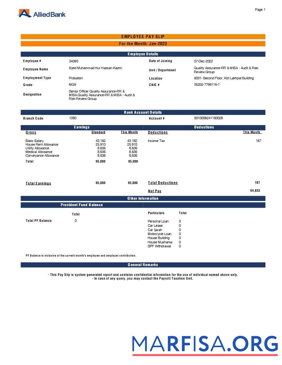 Realistic Allied Bank employee payslip example